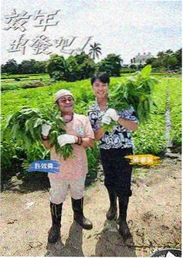 男人天堂综艺纪实深夜食堂计划海报